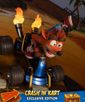 Crash Team Racing™ Nitro-Fueled - Crash In Kart (Exclusive Edition) (crashinkart_ex_14.jpg)