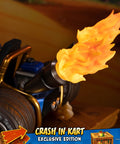 Crash Team Racing™ Nitro-Fueled - Crash In Kart (Exclusive Edition) (crashinkart_ex_15.jpg)