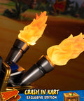 Crash Team Racing™ Nitro-Fueled - Crash In Kart (Exclusive Edition) (crashinkart_ex_16.jpg)