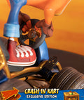 Crash Team Racing™ Nitro-Fueled - Crash In Kart (Exclusive Edition) (crashinkart_st_21_1.jpg)