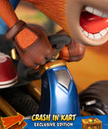 Crash Team Racing™ Nitro-Fueled - Crash In Kart (Exclusive Edition) (crashinkart_st_26_1.jpg)