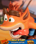 Crash Team Racing™ Nitro-Fueled - Crash In Kart (Exclusive Edition) (crashinkart_st_27_1.jpg)