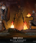Dark Souls - Elite Knight Combo Edition (ek_combo.jpg)