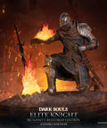 Dark Souls - Elite Knight Combo Edition (ek_kneeling_ex_00_1.jpg)