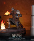 Dark Souls - Elite Knight Combo Edition (ek_kneeling_ex_11_1.jpg)