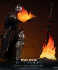 Dark Souls - Elite Knight: Humanity Restored Edition (Exclusive Edition) (ek_kneeling_ex_20.jpg)