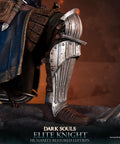 Dark Souls - Elite Knight: Humanity Restored Edition (ek_kneeling_st_18.jpg)