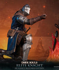 Dark Souls - Elite Knight: Humanity Restored Edition (ek_kneeling_st_23.jpg)