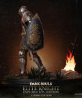 Dark Souls - Elite Knight Combo Edition (ek_walking_ex_07_1.jpg)