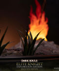 Dark Souls - Elite Knight: Exploration Edition (Exclusive Edition) (ek_walking_ex_24.jpg)