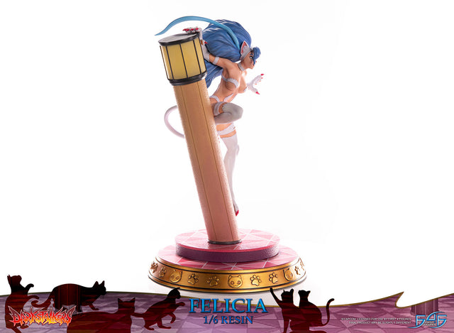 Darkstalkers - Felicia (felicia_24.jpg)