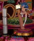 Darkstalkers - Felicia (Exclusive Edition) (feliciaex_10.jpg)