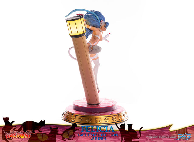 Darkstalkers - Felicia (Exclusive Edition) (feliciaex_28.jpg)