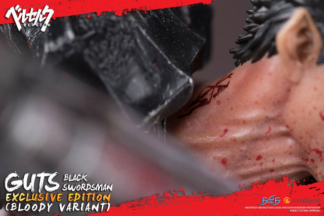 Guts: Black Swordsman (Exclusive Bloody Variant) (guts-exc-bloody-h-09.jpg)