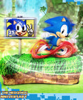 Sonic the Hedgehog 25th Anniversary (Regular) (horizontal_01_1_16.jpg)