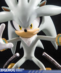 Silver the Hedgehog (Exclusive) (horizontal_01_6.jpg)