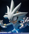 Silver the Hedgehog (Exclusive) (horizontal_04_6.jpg)