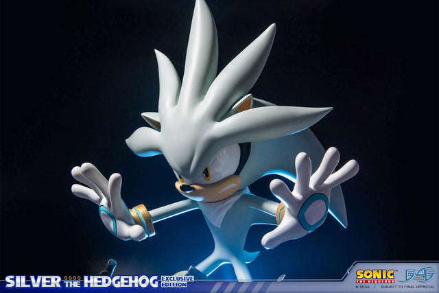 Silver the Hedgehog (Exclusive) (horizontal_04_6.jpg)