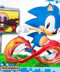 Sonic the Hedgehog 25th Anniversary (Regular) (horizontal_07_1_14.jpg)
