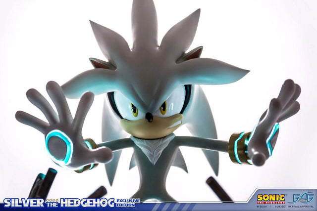 Silver the Hedgehog (Exclusive) (horizontal_08_6.jpg)