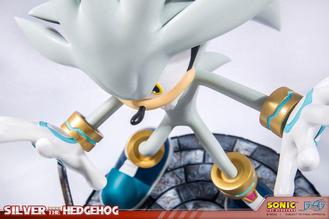 Silver the Hedgehog (Regular) (horizontal_10_5.jpg)