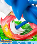 Sonic the Hedgehog 25th Anniversary (Regular) (horizontal_12_11.jpg)