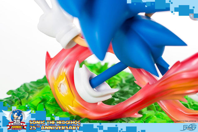 Sonic the Hedgehog 25th Anniversary (Regular) (horizontal_12_11.jpg)