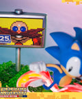 Sonic the Hedgehog 25th Anniversary (Exclusive) (horizontal_23_3.jpg)