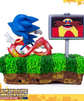Sonic the Hedgehog 25th Anniversary (Exclusive) (horizontal_49.jpg)