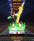 Sonic the Hedgehog™ – Super Shadow and Shadow the Hedgehog: Chaos Control (Combo Edition)  (launchphoto_combo_01.jpg)