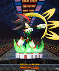 Sonic the Hedgehog™ – Super Shadow and Shadow the Hedgehog: Chaos Control (Combo Edition)  (launchphoto_combo_03.jpg)