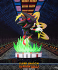 Sonic the Hedgehog™ – Super Shadow and Shadow the Hedgehog: Chaos Control (Combo Edition)  (launchphoto_combo_04.jpg)