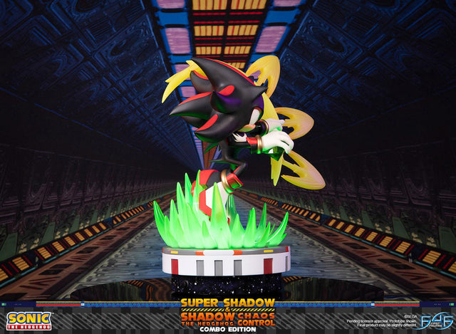 Sonic the Hedgehog™ – Super Shadow and Shadow the Hedgehog: Chaos Control (Combo Edition)  (launchphoto_combo_04.jpg)