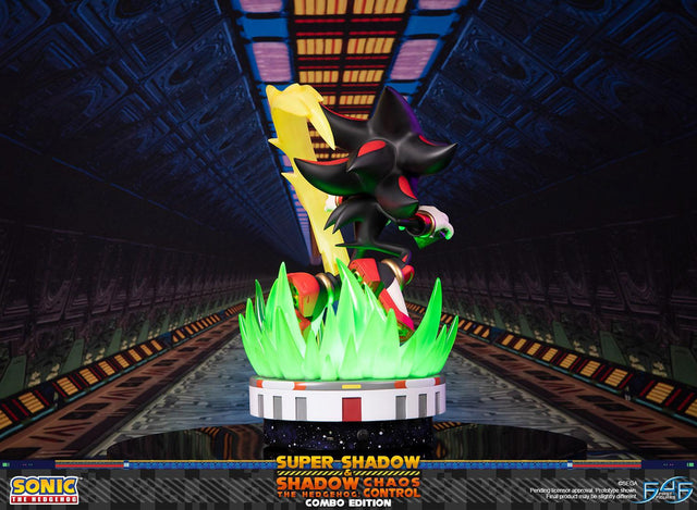 Sonic the Hedgehog™ – Super Shadow and Shadow the Hedgehog: Chaos Control (Combo Edition)  (launchphoto_combo_05.jpg)