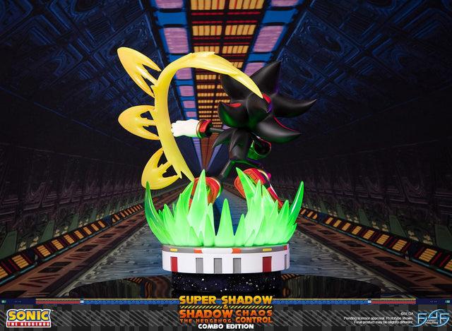 Sonic the Hedgehog™ – Super Shadow and Shadow the Hedgehog: Chaos Control (Combo Edition)  (launchphoto_combo_06.jpg)