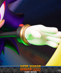 Sonic the Hedgehog™ – Super Shadow and Shadow the Hedgehog: Chaos Control (Combo Edition)  (launchphoto_combo_12.jpg)