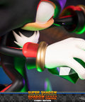 Sonic the Hedgehog™ – Super Shadow and Shadow the Hedgehog: Chaos Control (Combo Edition)  (launchphoto_combo_13.jpg)