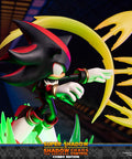 Sonic the Hedgehog™ – Super Shadow and Shadow the Hedgehog: Chaos Control (Combo Edition)  (launchphoto_combo_19.jpg)