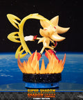 Sonic the Hedgehog™ – Super Shadow and Shadow the Hedgehog: Chaos Control (Combo Edition)  (launchphoto_combo_25.jpg)