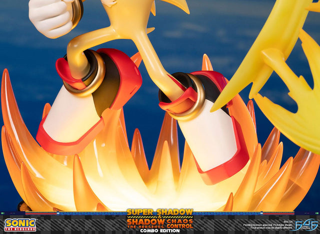 Sonic the Hedgehog™ – Super Shadow and Shadow the Hedgehog: Chaos Control (Combo Edition)  (launchphoto_combo_33.jpg)