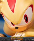 Sonic the Hedgehog™ – Super Shadow and Shadow the Hedgehog: Chaos Control (Combo Edition)  (launchphoto_combo_37.jpg)