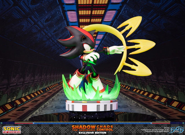 Sonic the Hedgehog™ – Shadow the Hedgehog: Chaos Control (Exclusive Edition)  (launchphoto_shadow_exc_03.jpg)