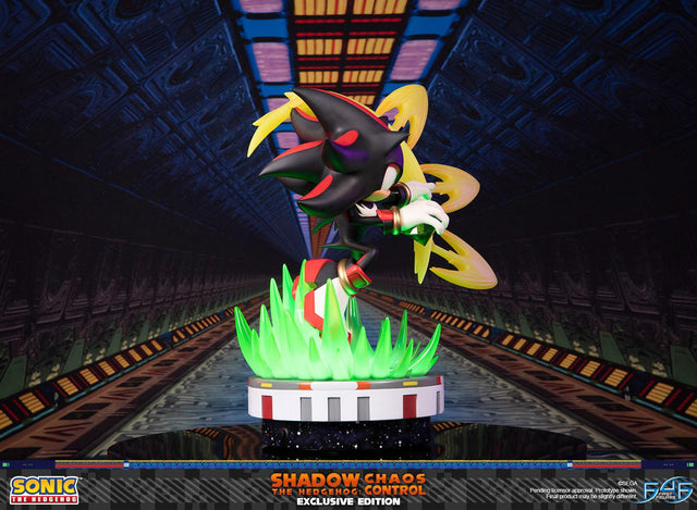 Sonic the Hedgehog™ – Shadow the Hedgehog: Chaos Control (Exclusive Edition)  (launchphoto_shadow_exc_04.jpg)