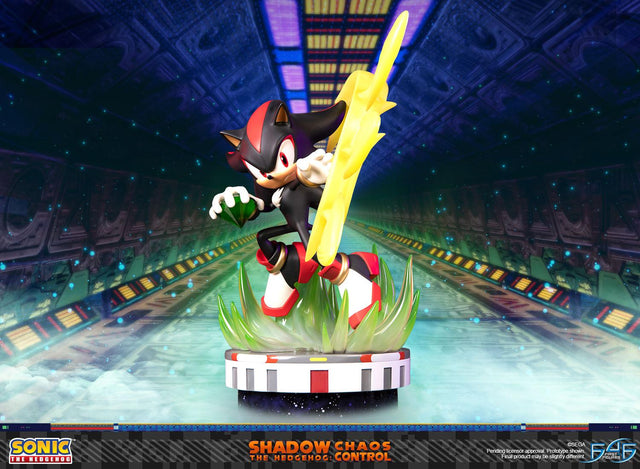 Sonic the Hedgehog™ – Shadow the Hedgehog: Chaos Control (Standard Edition)  (launchphoto_shadow_stn_00.jpg)