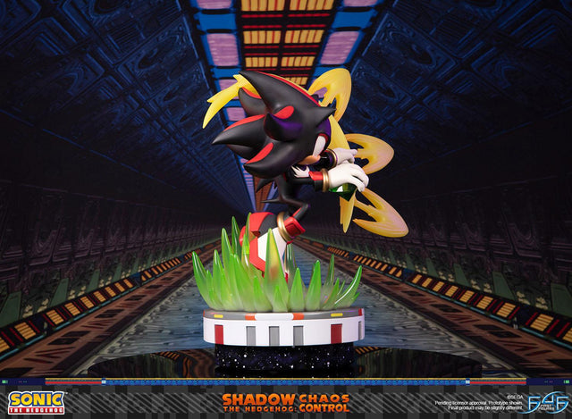 Sonic the Hedgehog™ – Shadow the Hedgehog: Chaos Control (Standard Edition)  (launchphoto_shadow_stn_04.jpg)