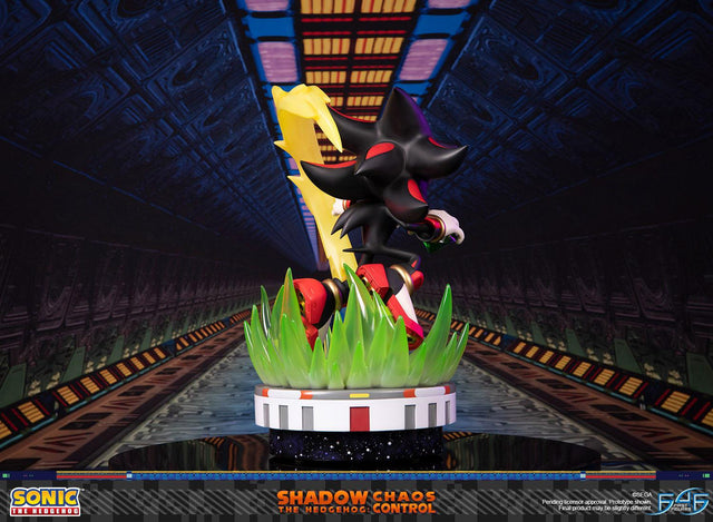 Sonic the Hedgehog™ – Shadow the Hedgehog: Chaos Control (Standard Edition)  (launchphoto_shadow_stn_05.jpg)