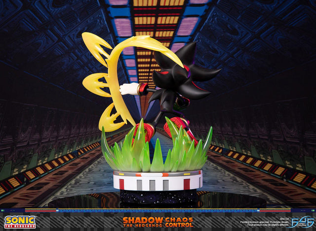 Sonic the Hedgehog™ – Shadow the Hedgehog: Chaos Control (Standard Edition)  (launchphoto_shadow_stn_06.jpg)