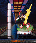 Sonic the Hedgehog™ – Shadow the Hedgehog: Chaos Control (Standard Edition)  (launchphoto_shadow_stn_09.jpg)
