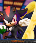 Sonic the Hedgehog™ – Shadow the Hedgehog: Chaos Control (Standard Edition)  (launchphoto_shadow_stn_10.jpg)