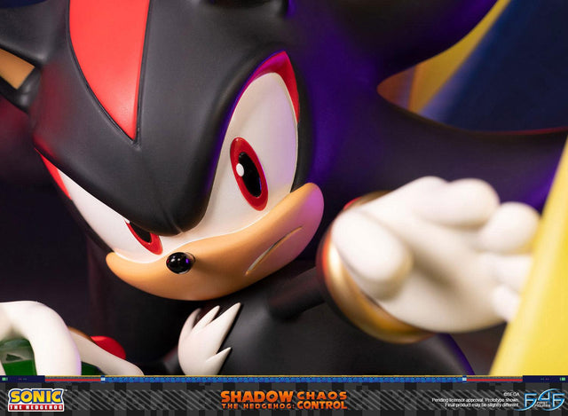 Sonic the Hedgehog™ – Shadow the Hedgehog: Chaos Control (Standard Edition)  (launchphoto_shadow_stn_11.jpg)